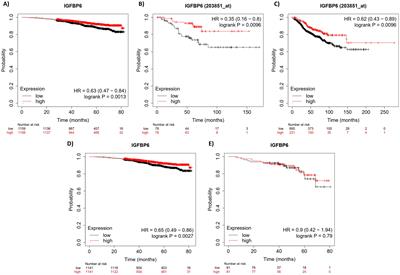 Insulin-like growth factor binding protein-6 modulates proliferative antagonism in response to progesterone in breast cancer